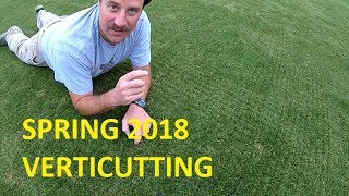 Spring 2018 Verticutting