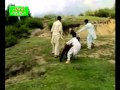 Zama swat sana beha khalkari