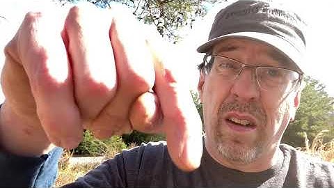 Carolina Diggers - Giving the Simplex another go