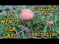 15 minut dla lasu - challenge by Flaming Recykling, 15 minutes for the forest