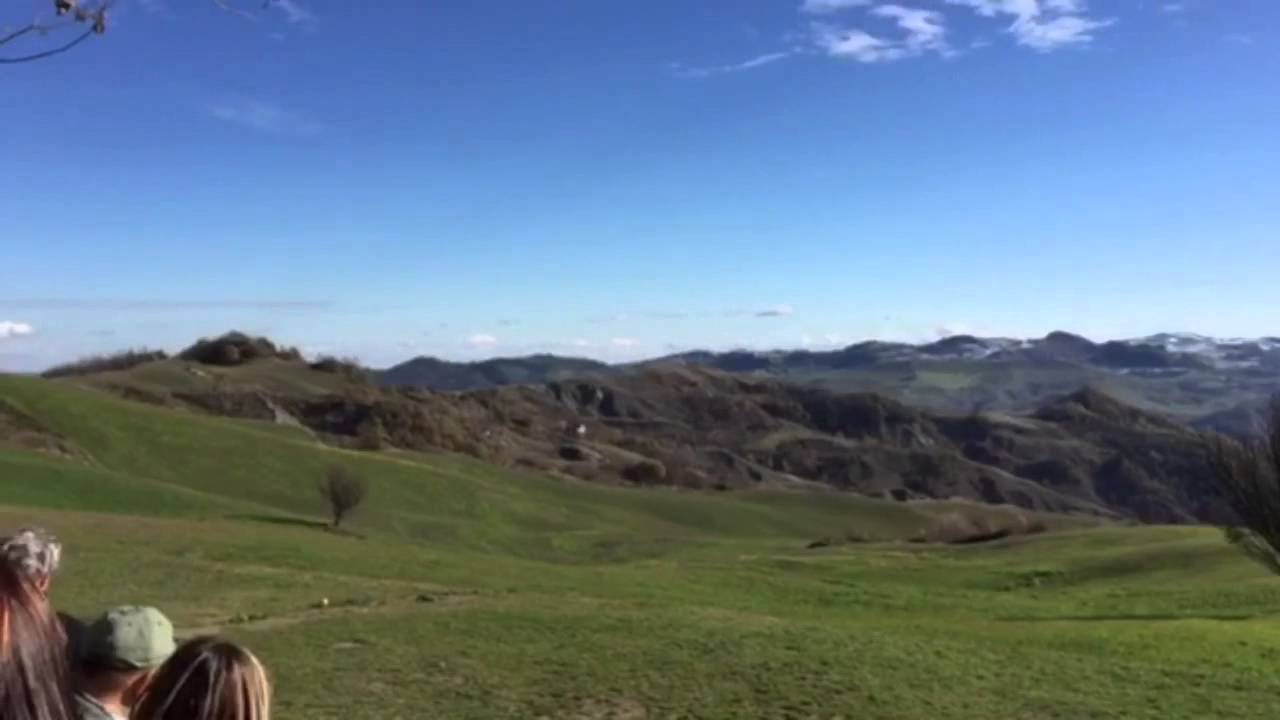 PAR 2015 WCI San Valentino Castellarano MO. Pippo the Weim, Weimaraner 17 mesi