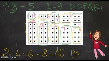 Numeri pari e dispari