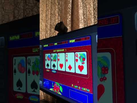 💎🦍EPIC APE🦍💎 ON CHUMBA CASINO