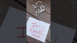 BONE FLYING PUDDIN 🦴😱 Net Worth