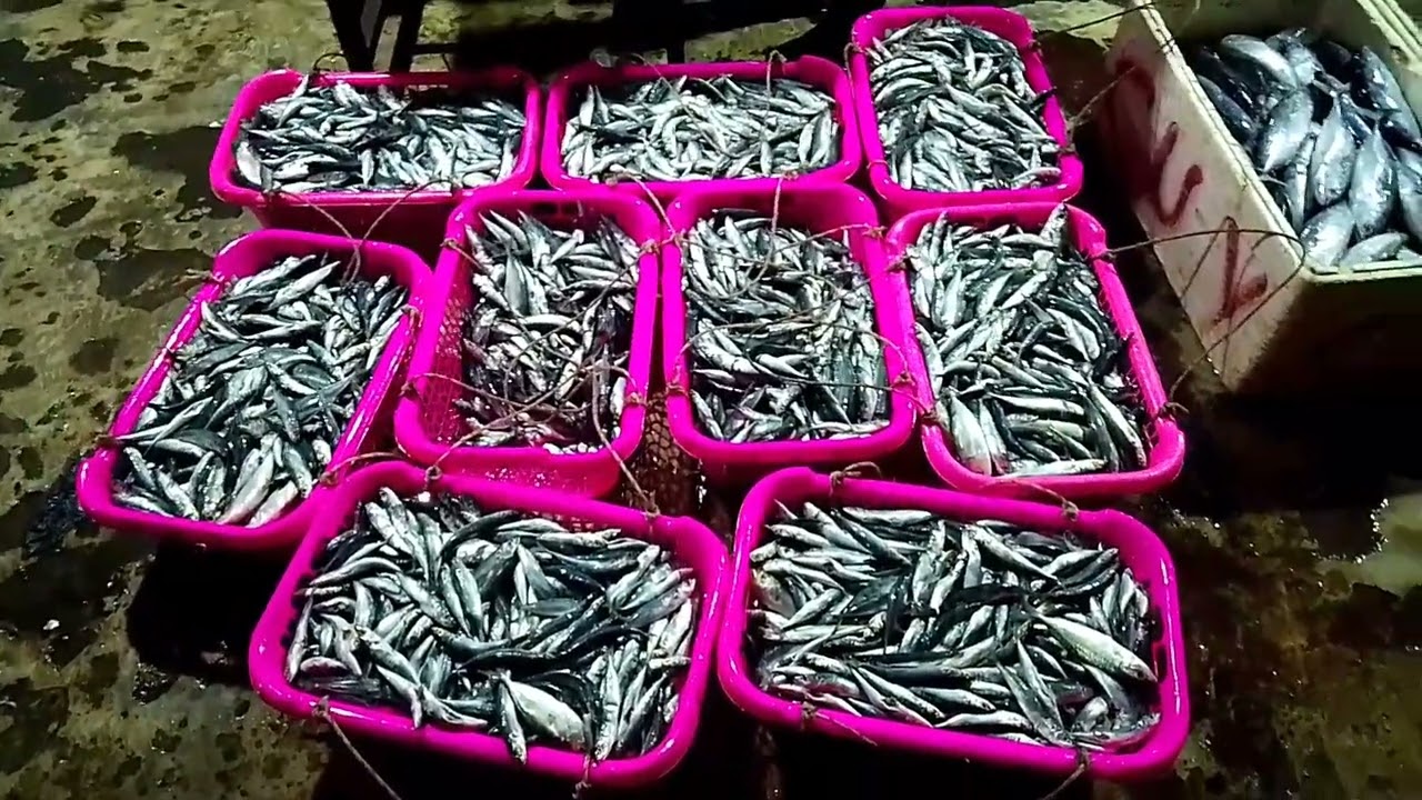 Pasar ikan Banjar raya....