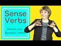 Sense verbs - stative and dynamic English verbs