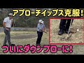 アプローチイップス解決に斬新なご提案【第二弾】