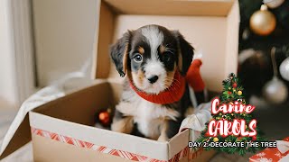 CANINE CAROLS 2: 25 DOGS OF CHRISTMAS🎄 by DOGGYDAYS 82 views 5 months ago 3 minutes, 25 seconds