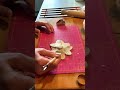 How to make Slip!! Mix clay with water to create  DIY clay superglue. #clay #slip #pottery