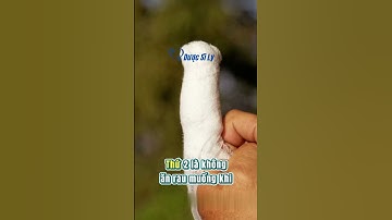 3 Lưu ý khi ăn rau muống #duocsily #dsly #chamsocsuckhoe #suckhoe #songkhoe