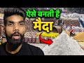 फैक्ट्री में मैदा कैसे बनती है How Wheat Flour is Made in Factory | In Facts Official