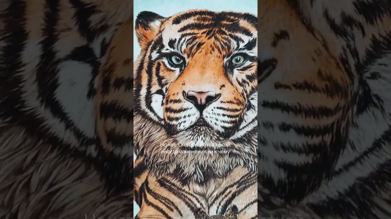 #tigerart