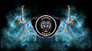 Haye Hukku Hay Hukku Haye /  dj song /