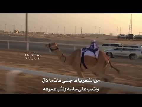 شله هجن بن عتيق كلمات الشاعر فهد بن حمد بن قريع اداء المنشد مسفر السندوانه