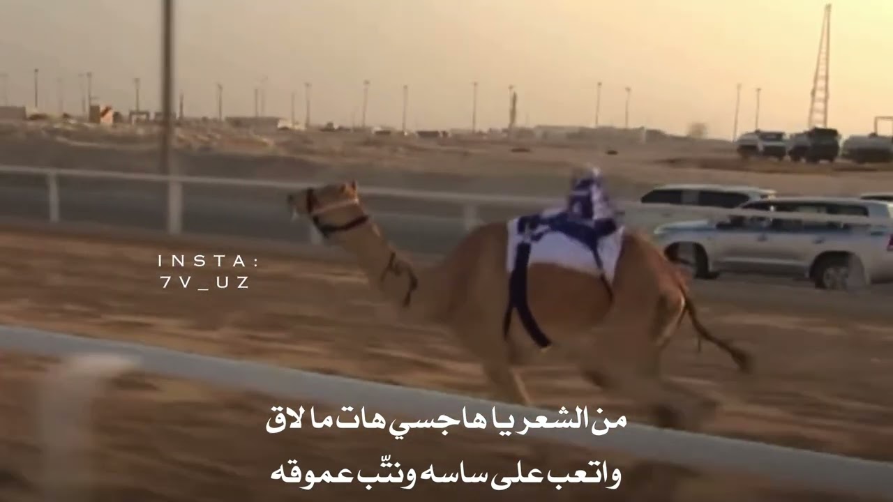 شله هجن بن عتيق / كلمات الشاعر : فهد بن حمد بن قريع / اداء المنشد : مسفر السندوانه .