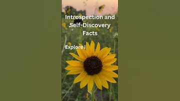 Unveiling the Self: A Journey of Introspection and Self-Discovery