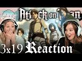 The basement  attack on titan  reaction 3x19