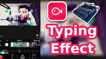 How to Create Typing Effect Vllo | Vllo Hindi/Urdu