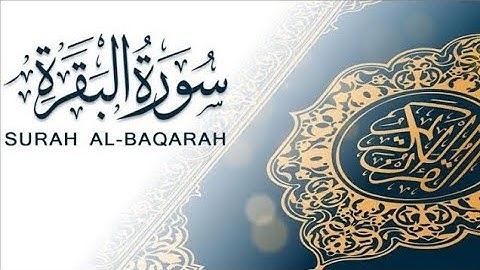 سورة الفاتحة والبقرة -مكتوبة مع الآيات كاملة| أجمل تلاوة للاستماع بصوت الشيخ مشاري العفاسي