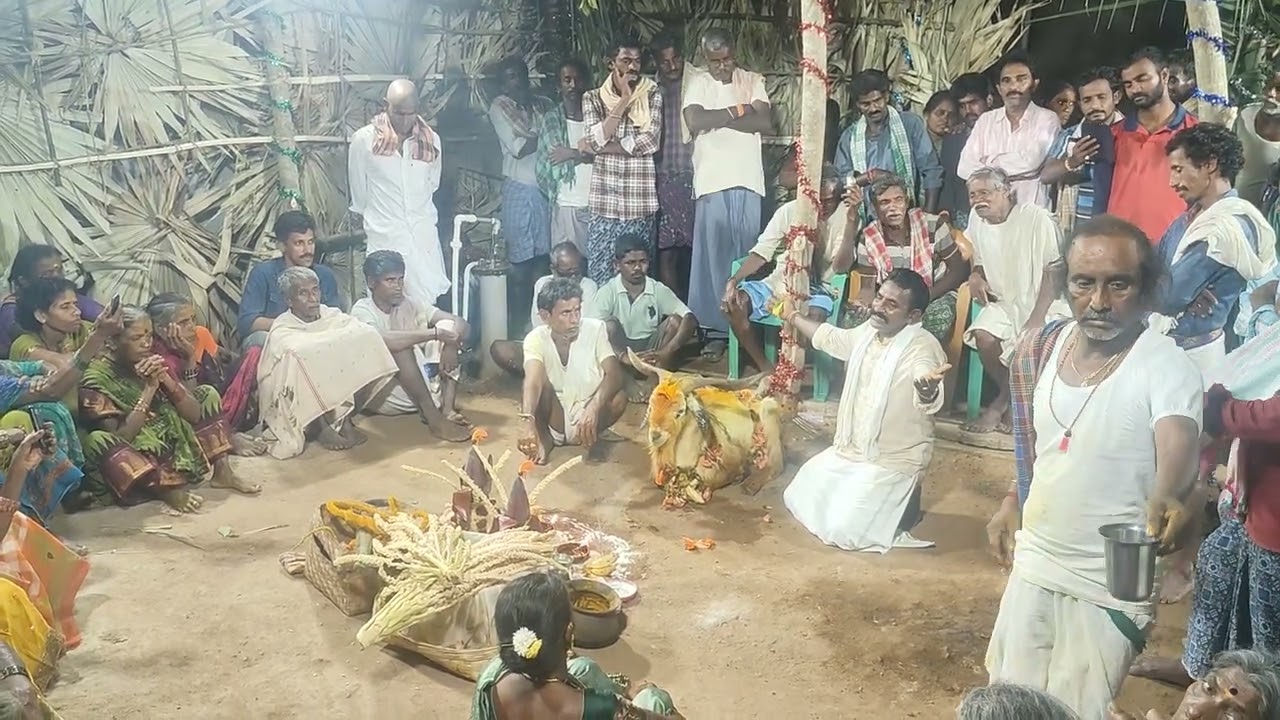 chappa dalappadu guru 7660956024