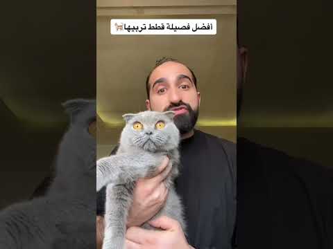 ايش هي فصيلة قطتك 