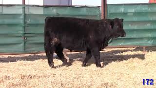 Watch Crusader Angus video