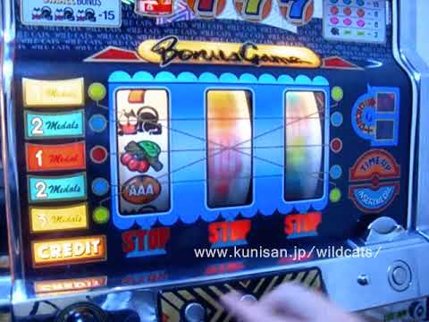 ワイルドキャッツ　パチスロ ワイルドキャッツ（アークテクニコ、3号機） - まにあっく懐パチ