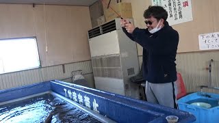 【釣り堀】鯉や金魚を狙って釣りしたよ 【釣り堀】鯉や金魚を狙って釣りしたよ