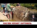 КАК КОПАЮТ КАРТОФЕЛЬ В РАЗНЫХ СТРАНАХ,ПОДБОРКА /HARVESTING POTATOES IN DIFFERENT COUNTRIES,SELECTION