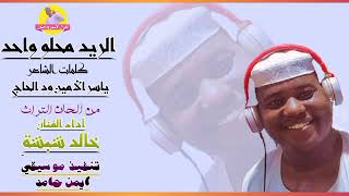 الريد محلو واحد || خالد شبشة || NEW 2023 #الغزال_الاسمر_ودحسان _ نفس الدواء 🤣🥰