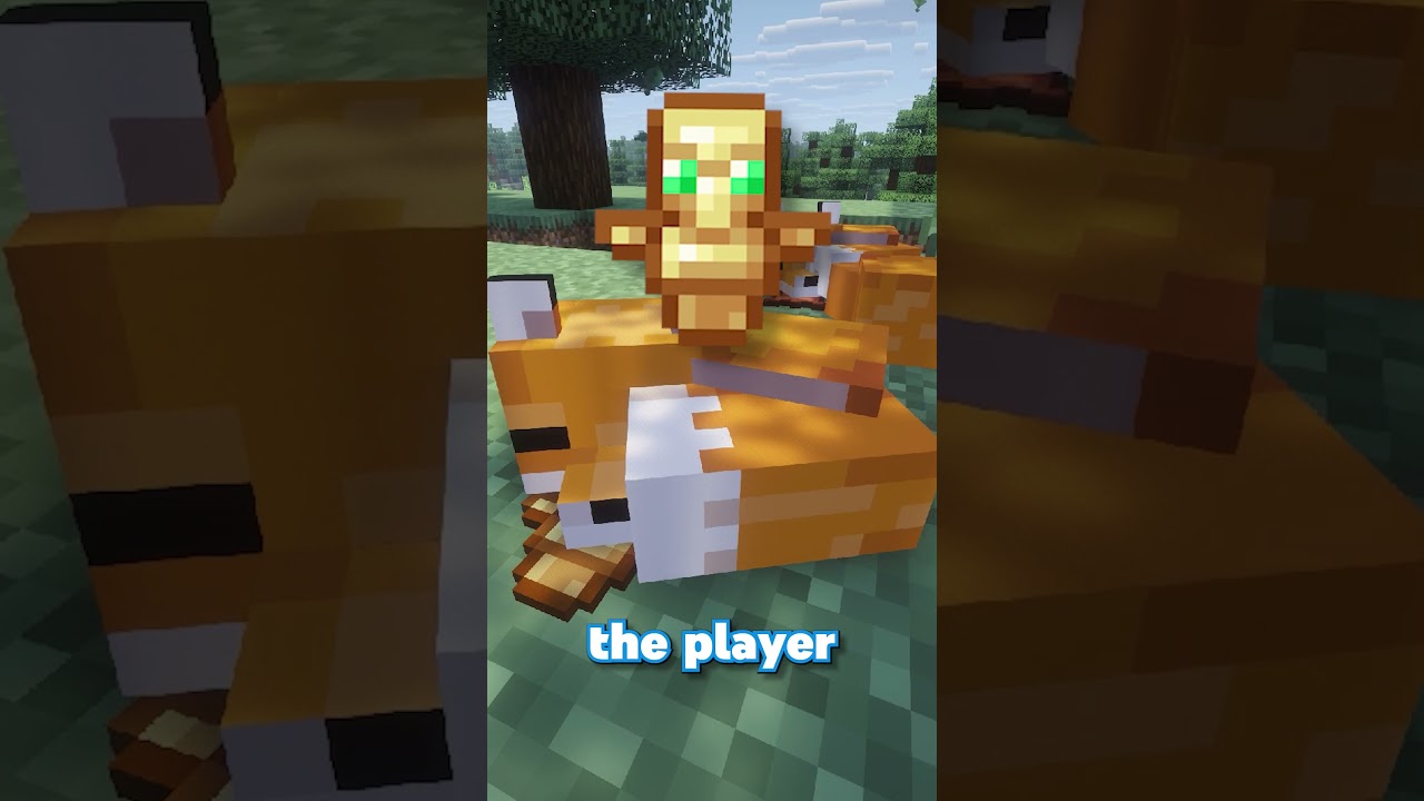 Do You Know these Minecraft Secrets Almost Nobody Knows?
