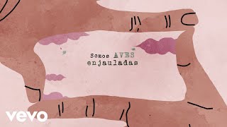 Video thumbnail of "Rozalén - Aves Enjauladas (Lyric Video)"