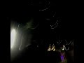 Vacations Telephones Super Slowed 