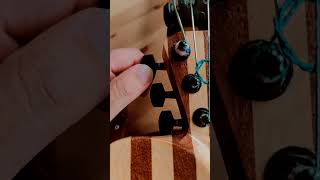 Line usher violin #shorts #3dvarius Line usher violin #shorts #3dvarius