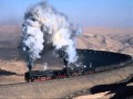 el tren pasajero las palomas