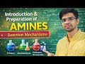 Amines Introduction & Preparation Methods | Reaction Mechanisms | Class 12 Chemistry