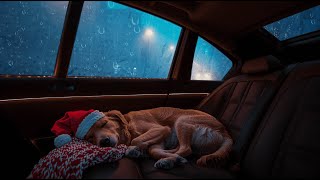 Rain on Car Roof Soothes Mind FAST! Soft Rain Sounds for Sleep screenshot 2