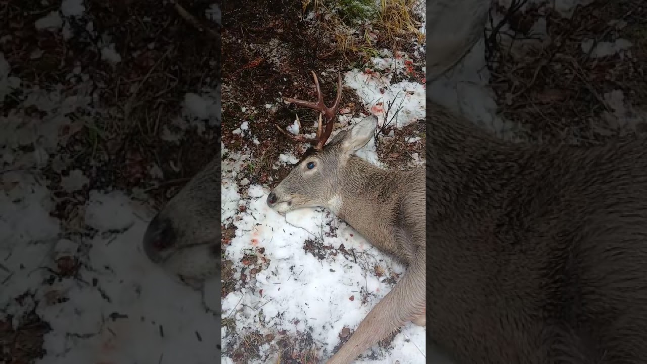 Country Boy Things ~ Canaan Smith