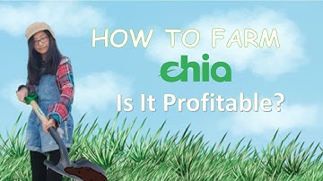 Chia Setup Farm Guide: How to farm chia? Is it profitable?