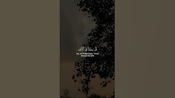سورة العنكبوت - الآيات 19-20 - تلاوة ياسر الدوسري