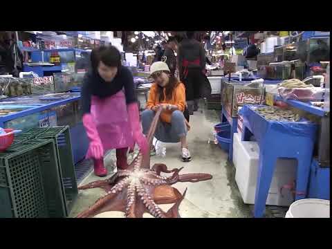 Shortest Video on