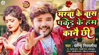 #Dharmendra Nirmaliya | मरबा के बास पकेड़ के हम कानै छी | #New_Sad_Song_2024 | #New_Bewafa_Gana_2024