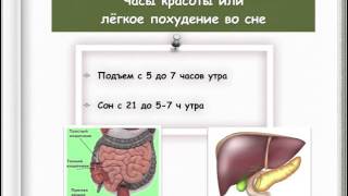 Часы красоты. Или лёгкое похудение во сне Часы красоты. Или лёгкое похудение во сне