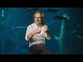 Können wir länger wach bleiben? | 42 - Die Antwort auf fast alles Reupload | ARTE