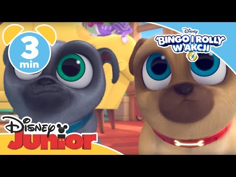 Bingo i Rolly w akcji  - Pies hipersprzątający - Oglądaj w Disney Junior