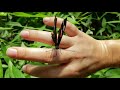 Butterfly Video! The coolest nature experience.