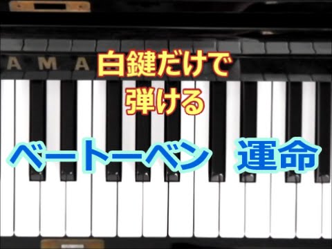 ピアノで奏でるサビ ベートーベン 運命 交響曲第5番 白鍵だけで弾ける 初心者ok How To Play Piano Right Hand Youtube