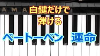 [ピアノで奏でるサビ] ベートーベン　運命　交響曲第5番　[白鍵だけで弾ける][初心者OK]　How to Play Piano （right hand）