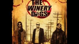 The Winery Dogs - The Other Side