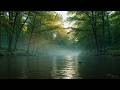 Heavenly Calm Meditation Focus Music in Snowy Forest for Restful Sleep ❄️